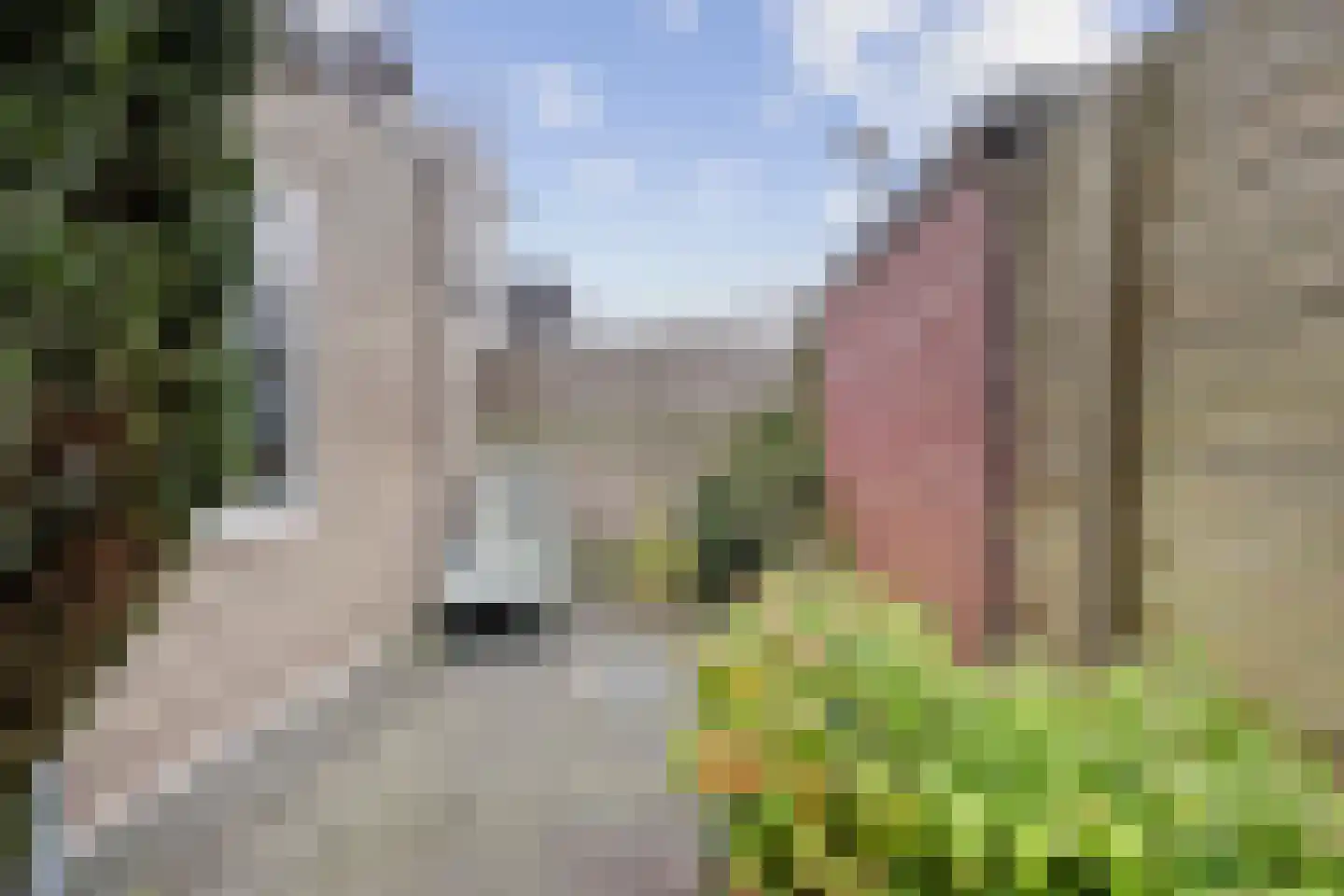 Vaartstraat 11 Haarlem thumbnail 18