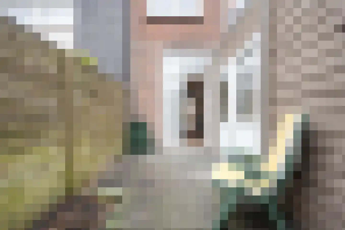 Vaartstraat 11 Haarlem thumbnail 20