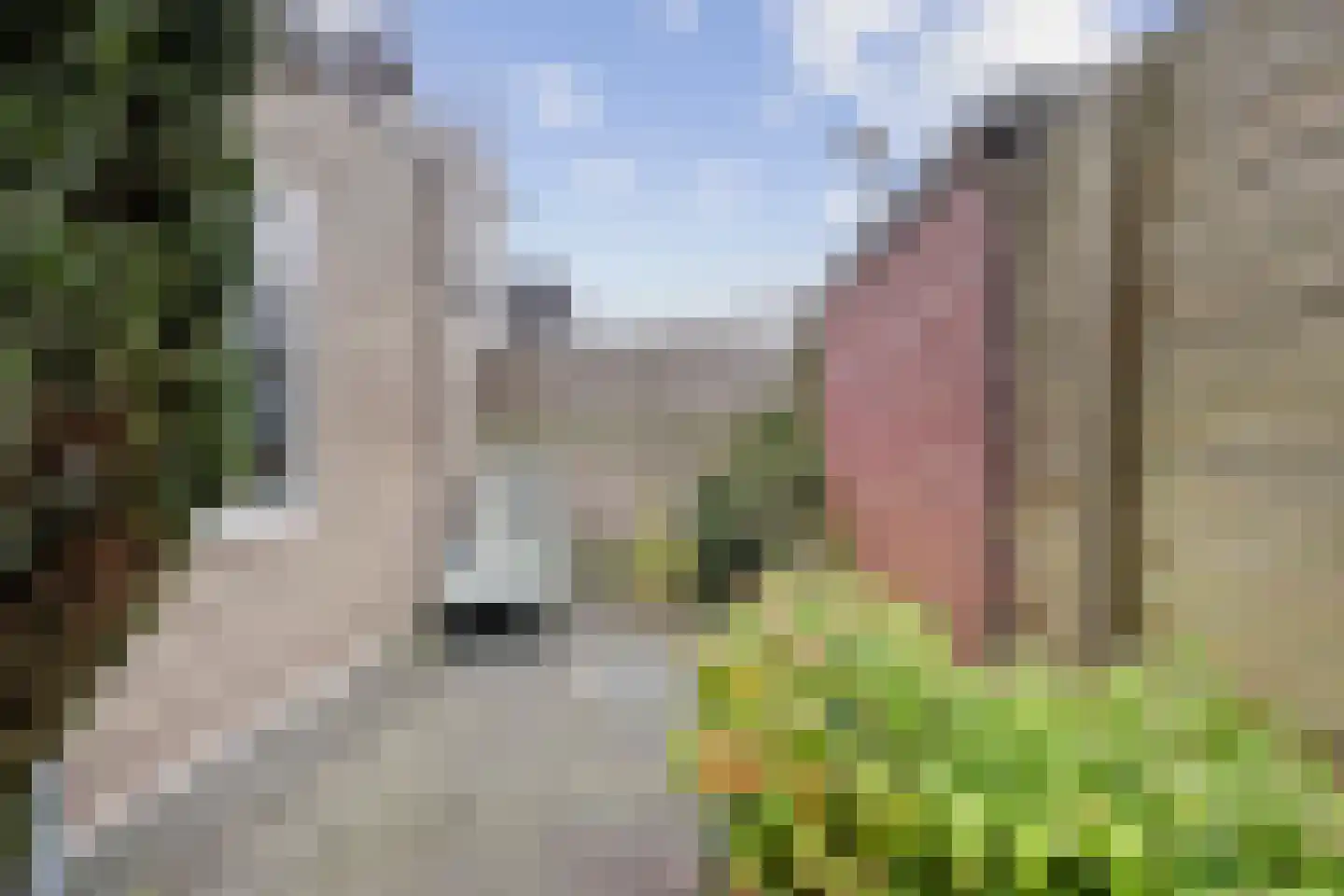 Vaartstraat 11 Haarlem thumbnail 4