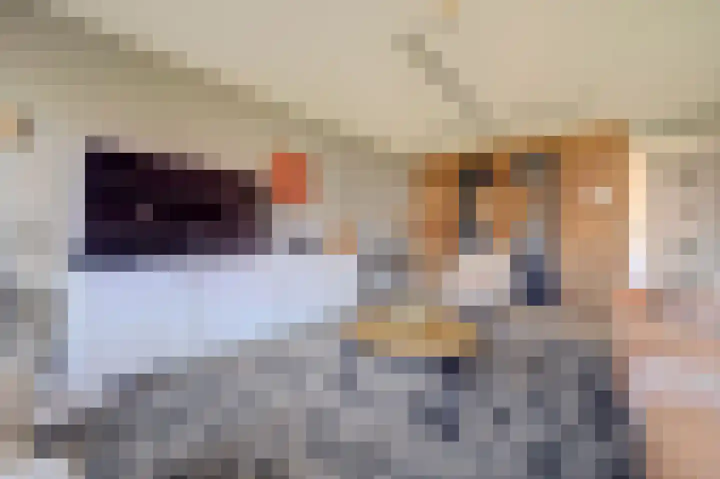 Vaartstraat 17 Spijkenisse thumbnail 10