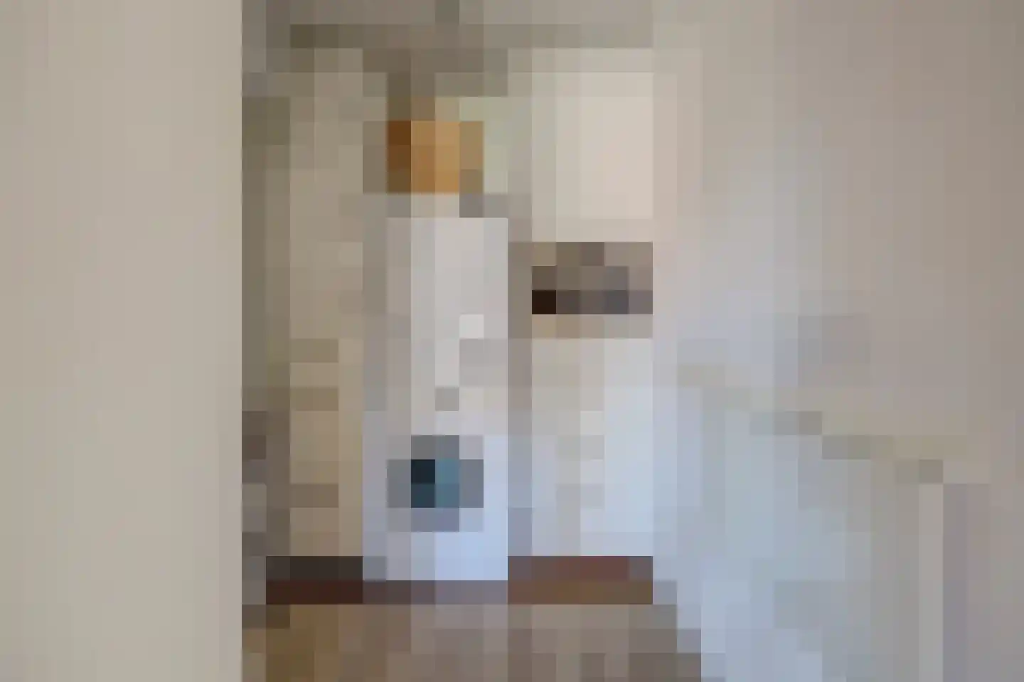 Vaartstraat 17 Spijkenisse thumbnail 27