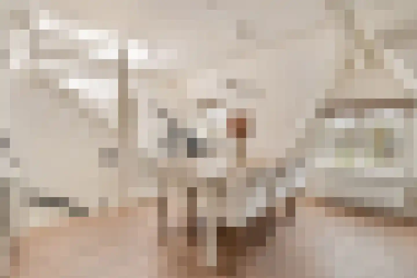 Vaartstraat 2 1 Amsterdam thumbnail 8