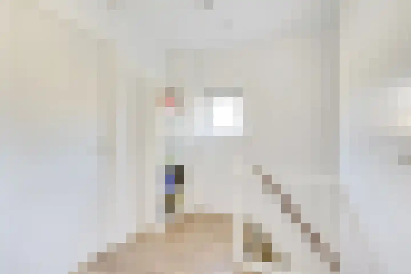 Vaartstraat 2 Nieuwegein thumbnail 20