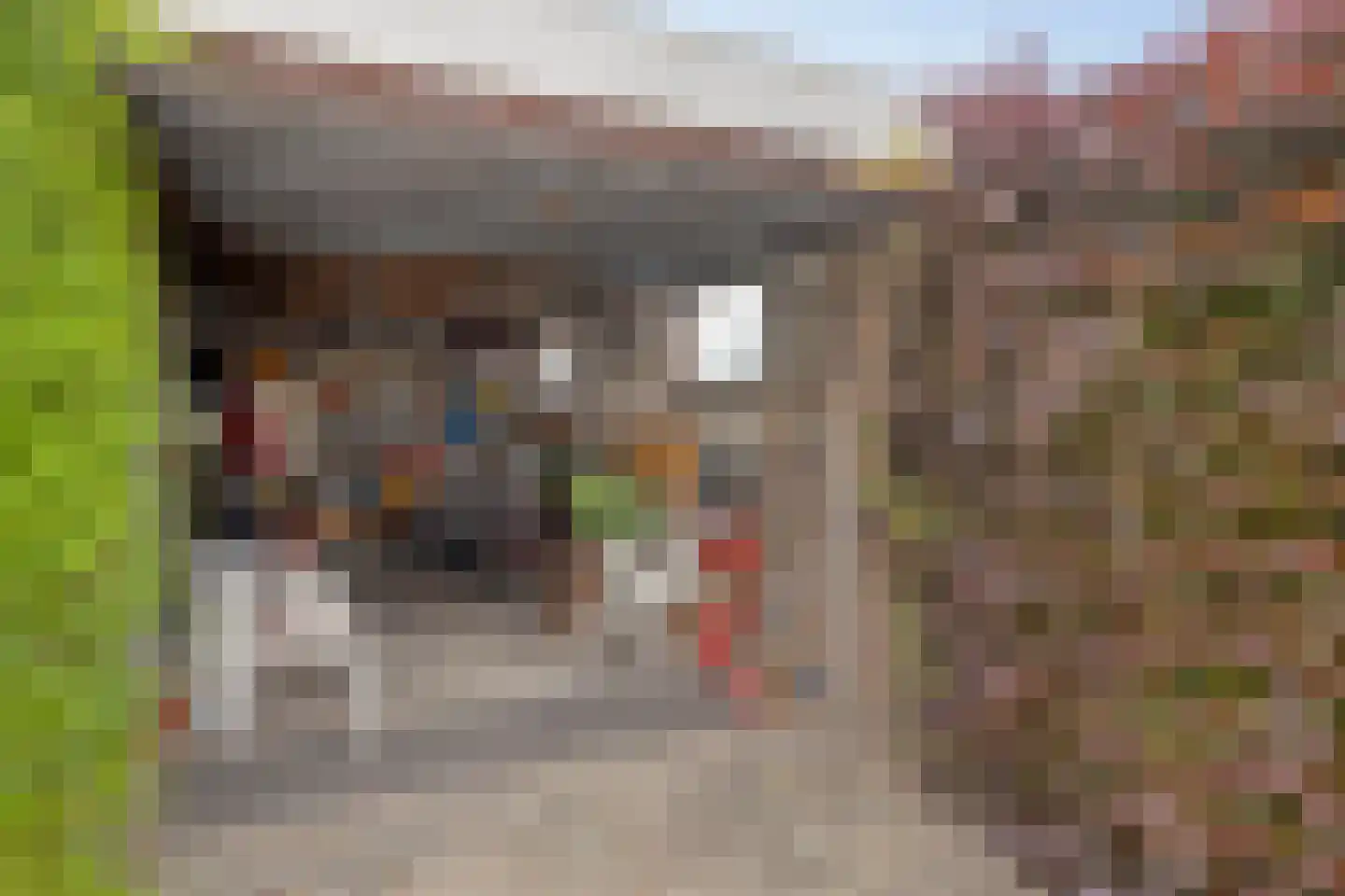 Vaartstraat 23 Philippine thumbnail 29