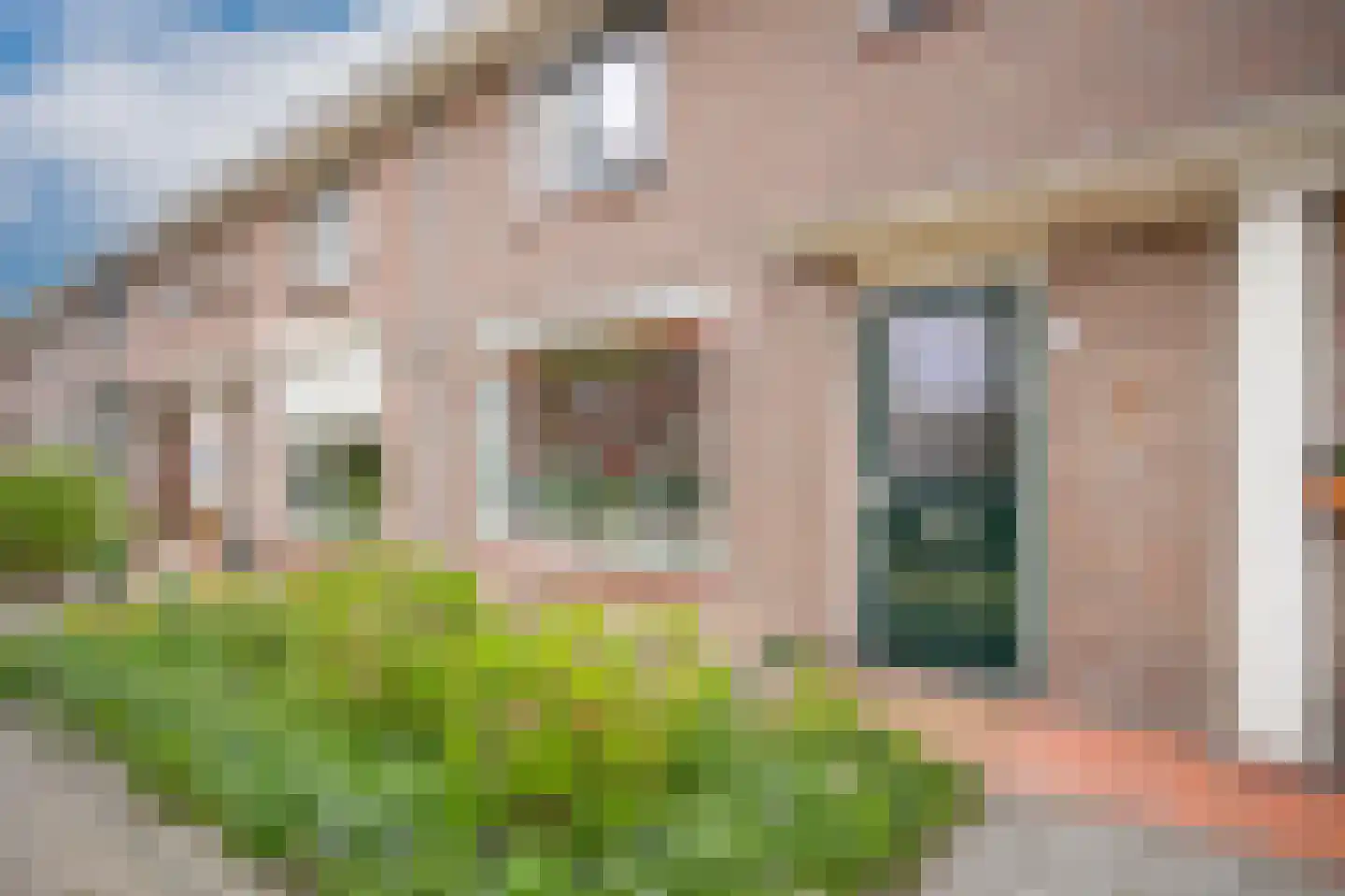 Vaartstraat 26 Culemborg thumbnail 28