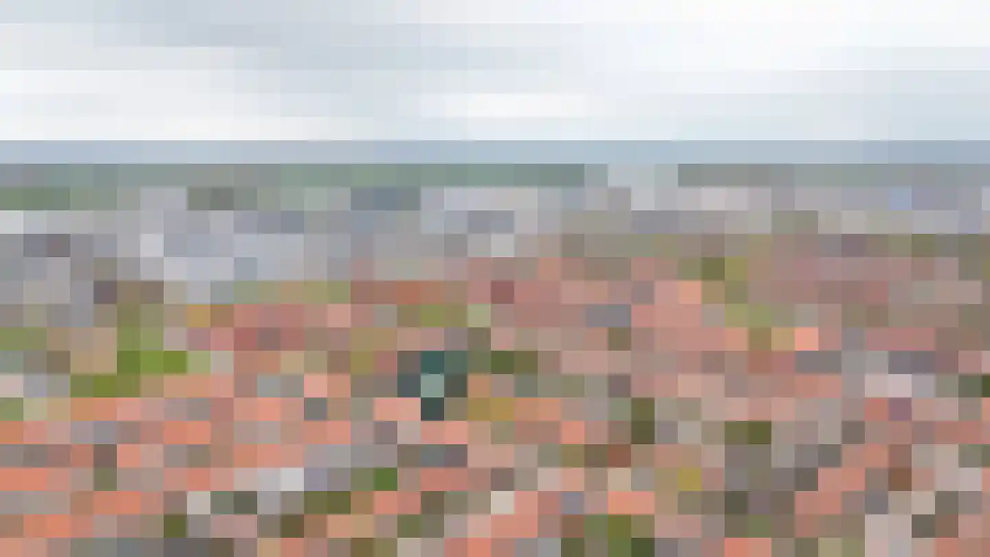 Vaartstraat 26 Culemborg thumbnail 35