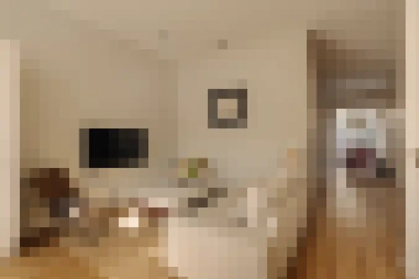 Vaartstraat 38 1 Amsterdam thumbnail 12