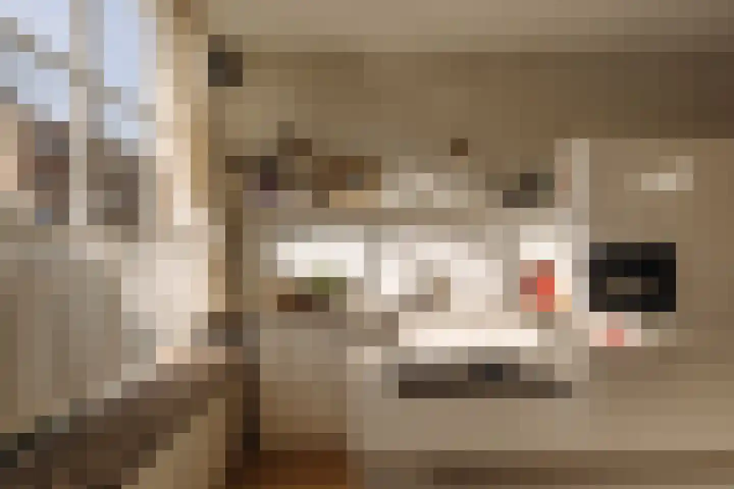 Vaartstraat 38 1 Amsterdam thumbnail 5