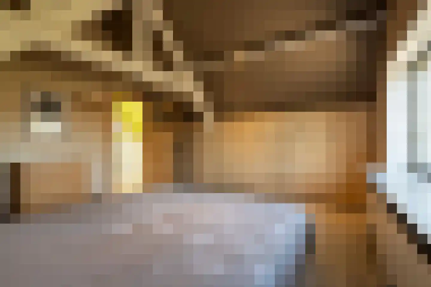Vaartstraat 44 's-Gravendeel thumbnail 31