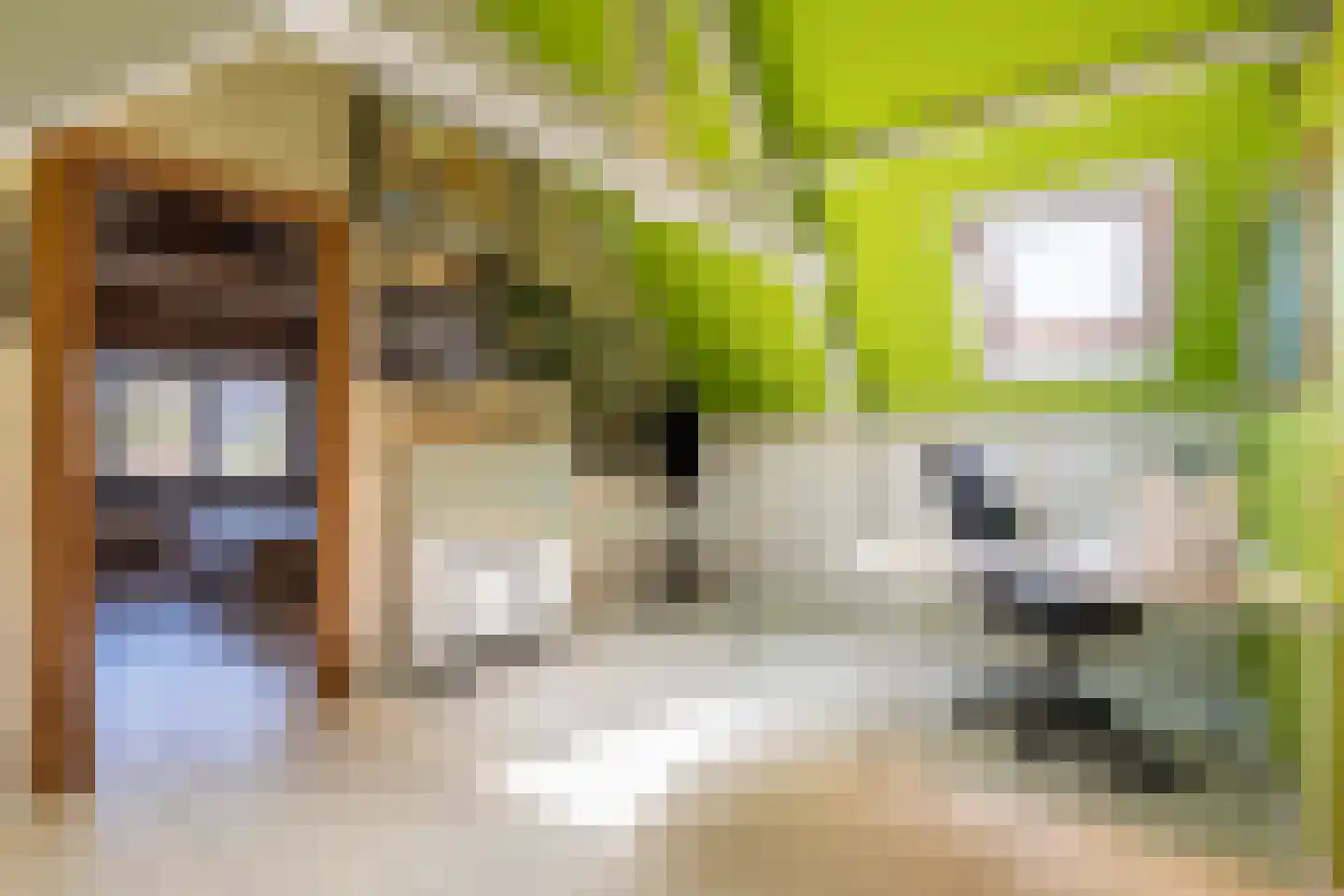 Vaartstraat 44 's-Gravendeel thumbnail 34