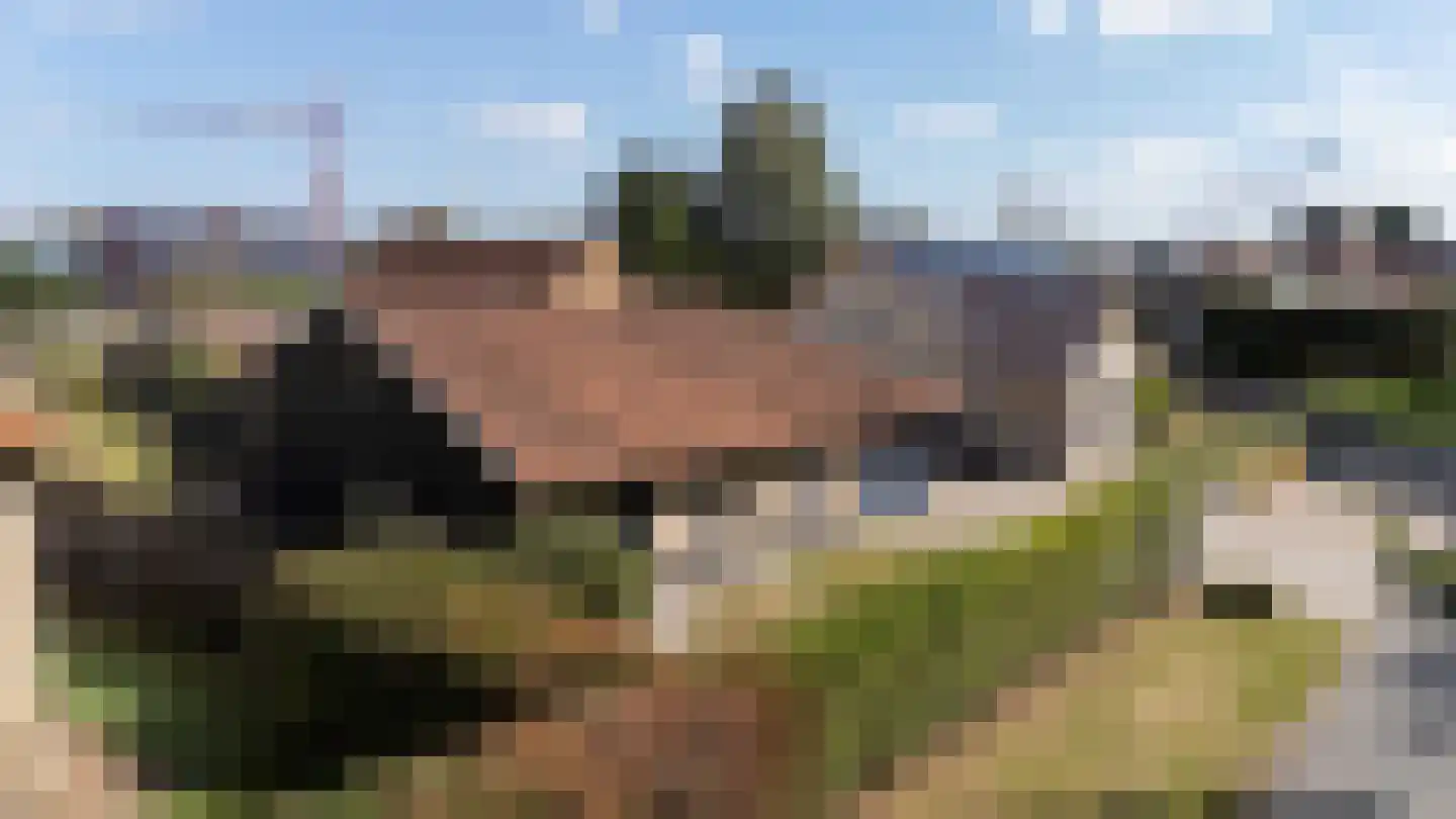 Vaartstraat 44 's-Gravendeel thumbnail 44