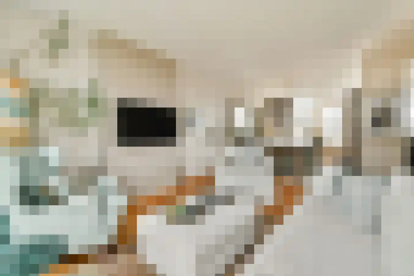 Vaartstraat 48 3 Amsterdam thumbnail 5