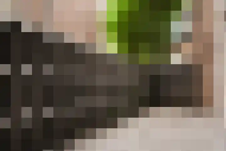 Vaartstraat 58 2 Amsterdam thumbnail 16