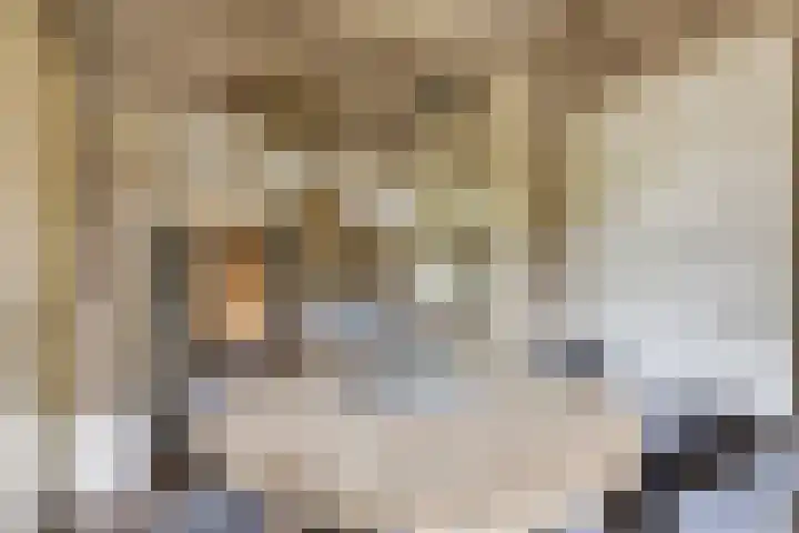 Vaartstraat 6 Kaatsheuvel thumbnail 12