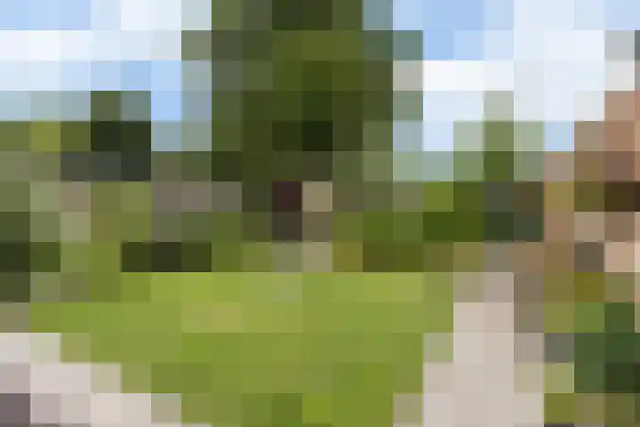 Vaartstraat 6 Kaatsheuvel thumbnail 35