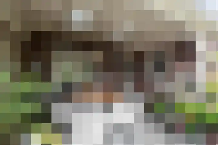 Vaartstraat 6 Kaatsheuvel thumbnail 40