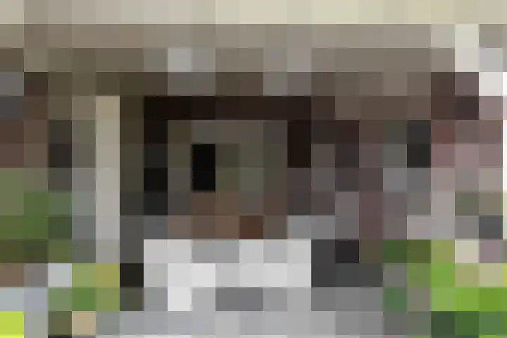 Vaartstraat 6 Kaatsheuvel thumbnail 41