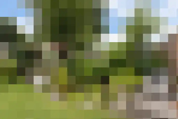 Vaartstraat 6 Kaatsheuvel thumbnail 42