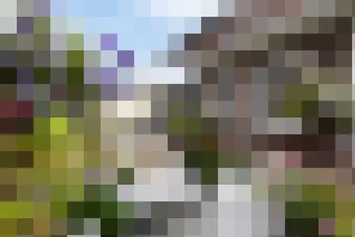 Vaartstraat 6 Kaatsheuvel thumbnail 46
