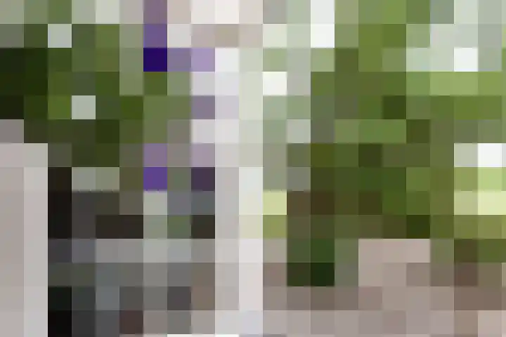Vaartstraat 6 Kaatsheuvel thumbnail 55