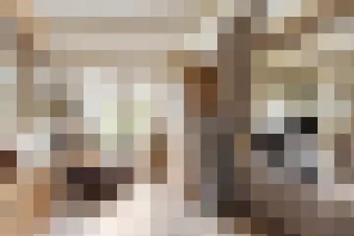 Vaartstraat 6 Kaatsheuvel thumbnail 9