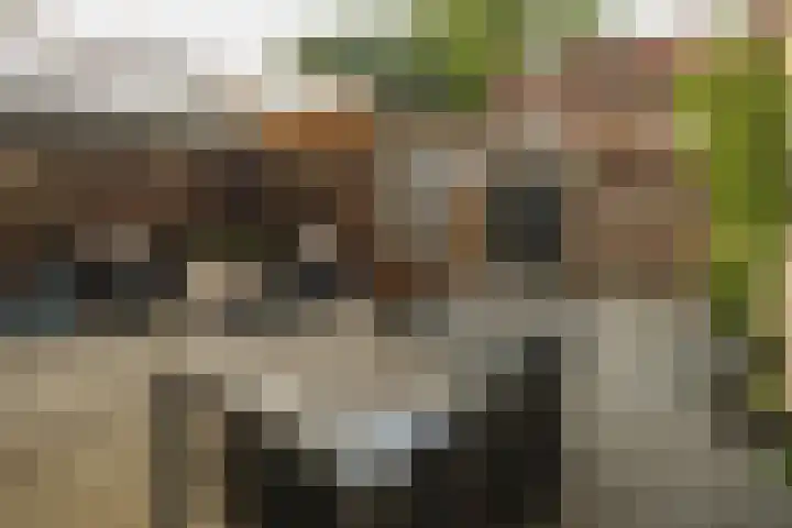 Vaartstraat 6 Nieuwegein thumbnail 15