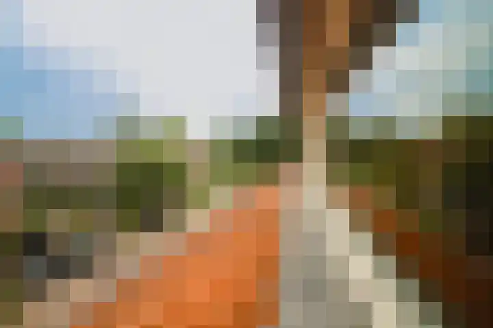 Vaartstraat 6 Nieuwegein thumbnail 28