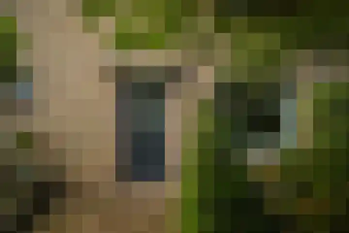 Vaartstraat 6 Nieuwegein thumbnail 7