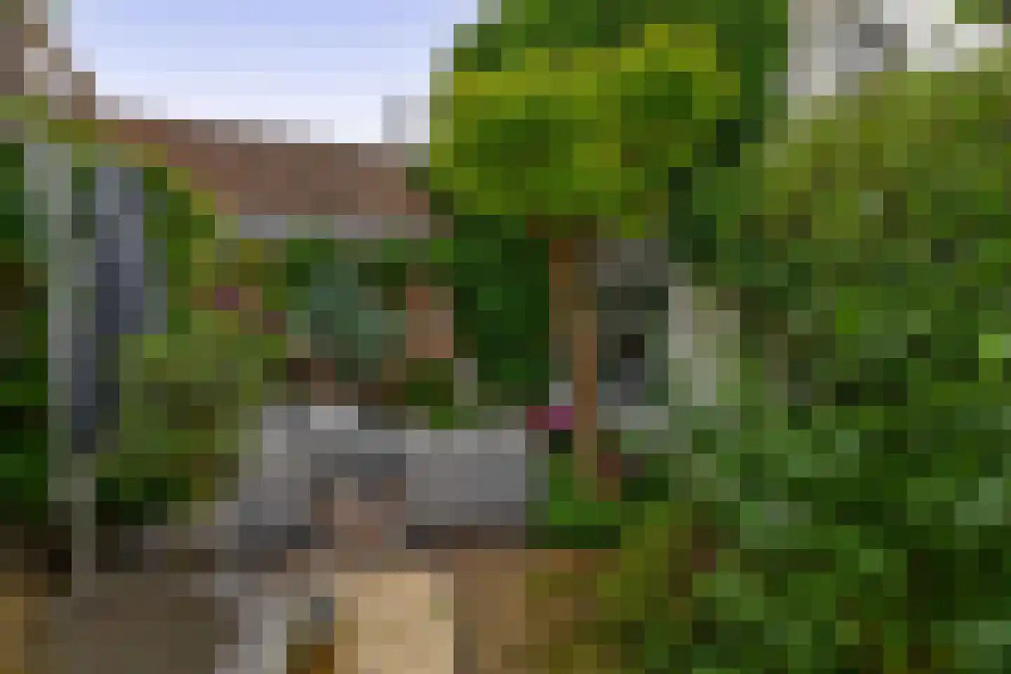 Vaartstraat 6 's-Gravenzande thumbnail 16