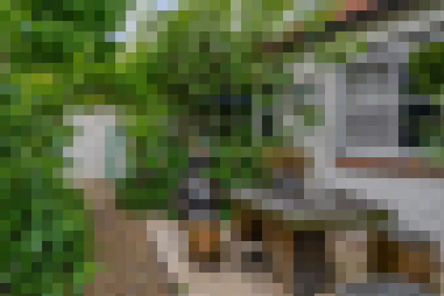 Vaartstraat 6 's-Gravenzande thumbnail 17