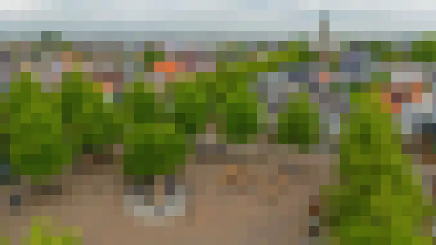 Vaartstraat 6 's-Gravenzande thumbnail 68