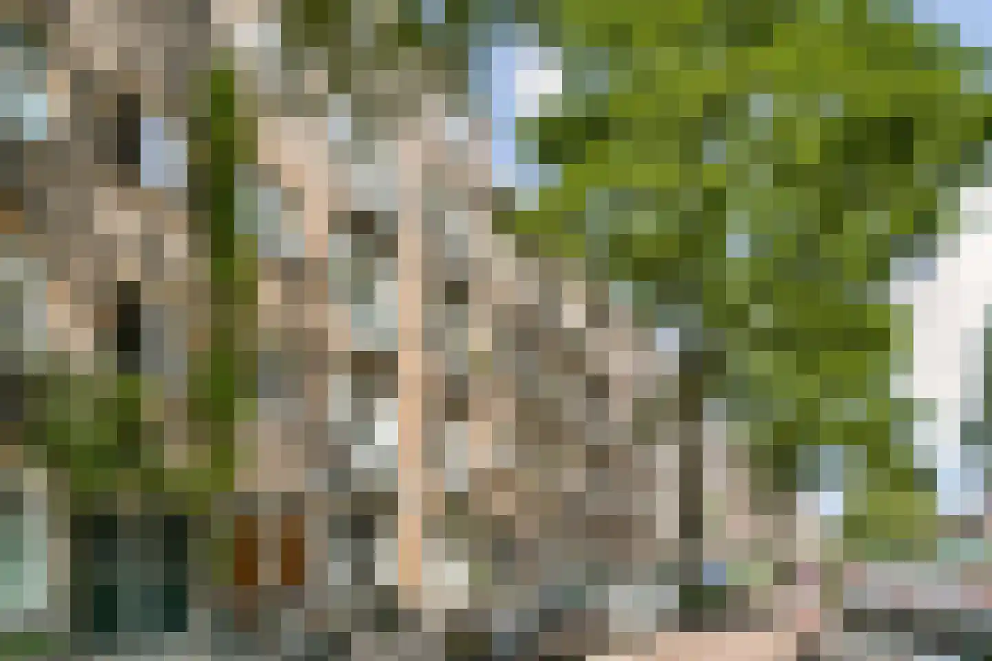 Vaartstraat 66 2 Amsterdam thumbnail 20