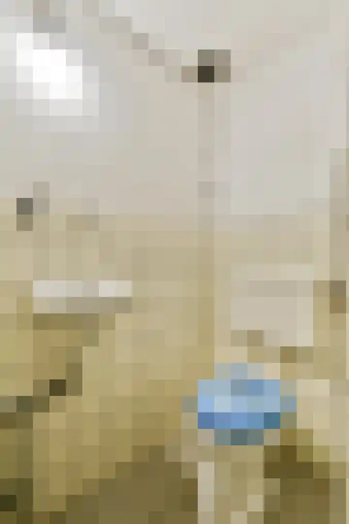 Vaartstraat 7 Amsterdam thumbnail 24