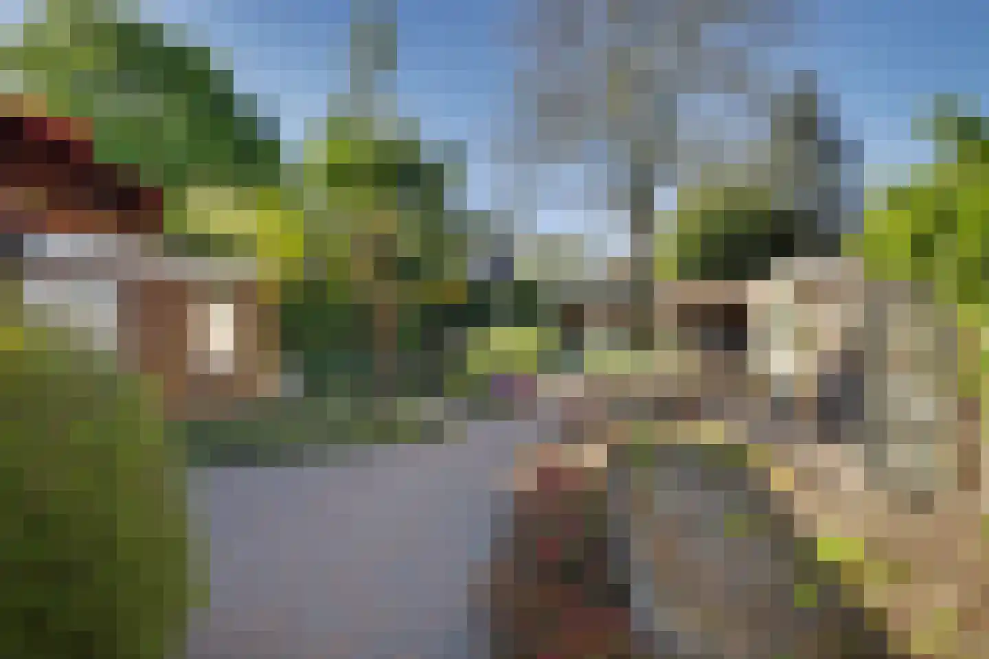 Vaartstraat 82 Kaatsheuvel thumbnail 5