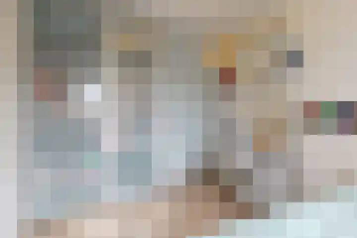 Vaartuigenlaan 24 Woerden thumbnail 18