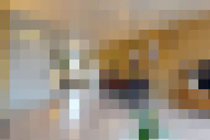 Vaartuigenlaan 24 Woerden thumbnail 7