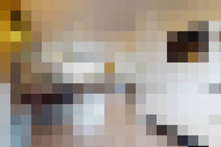 Vaartuigenlaan 24 Woerden thumbnail 9
