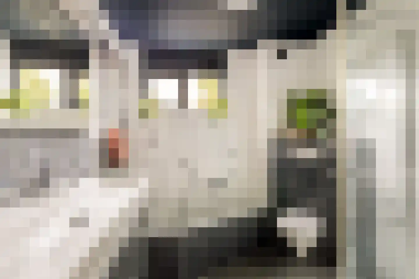 Vaartuigenlaan 28 Woerden thumbnail 21