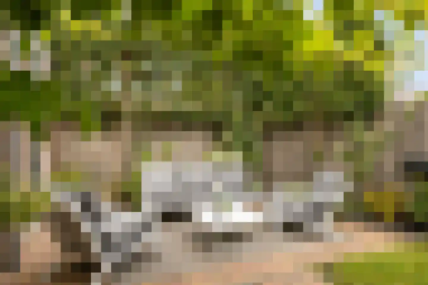 Vaartuigenlaan 28 Woerden thumbnail 31