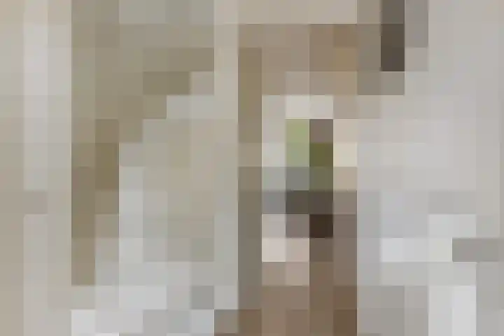 Vaartuigenlaan 4 Woerden thumbnail 13