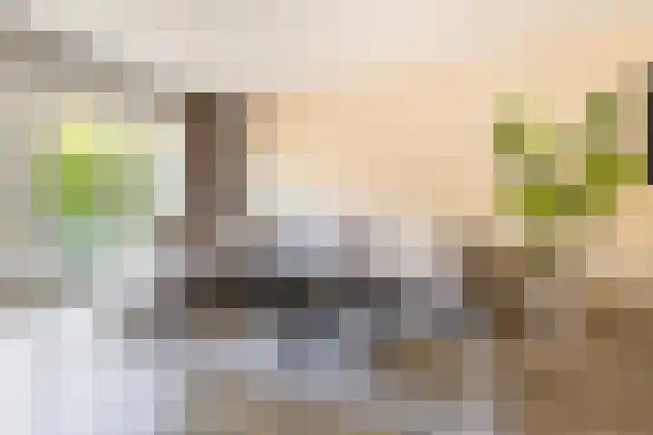 Vaartuigenlaan 4 Woerden thumbnail 18