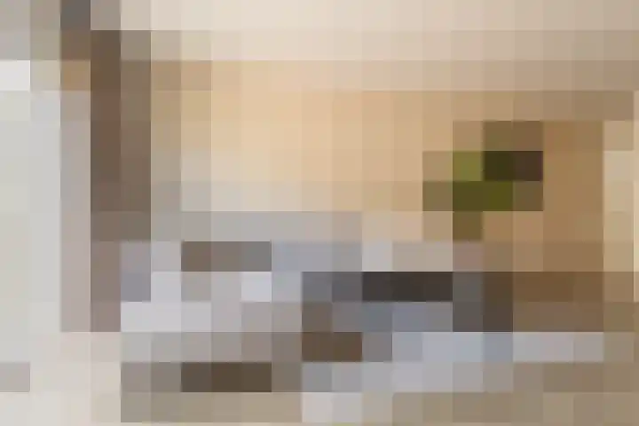 Vaartuigenlaan 4 Woerden thumbnail 19