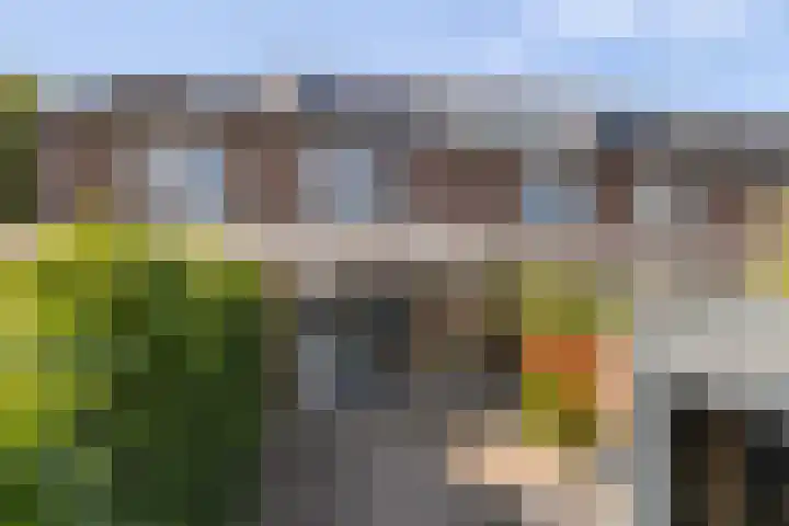 Vaartuigenlaan 4 Woerden foto 3