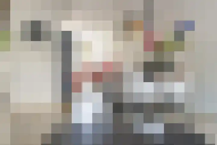 Vaartuigenlaan 4 Woerden thumbnail 30