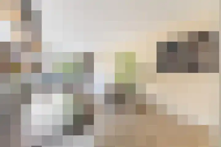 Vaartuigenlaan 4 Woerden thumbnail 34