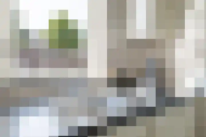 Vaartuigenlaan 4 Woerden thumbnail 39