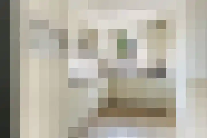 Vaartuigenlaan 4 Woerden thumbnail 40
