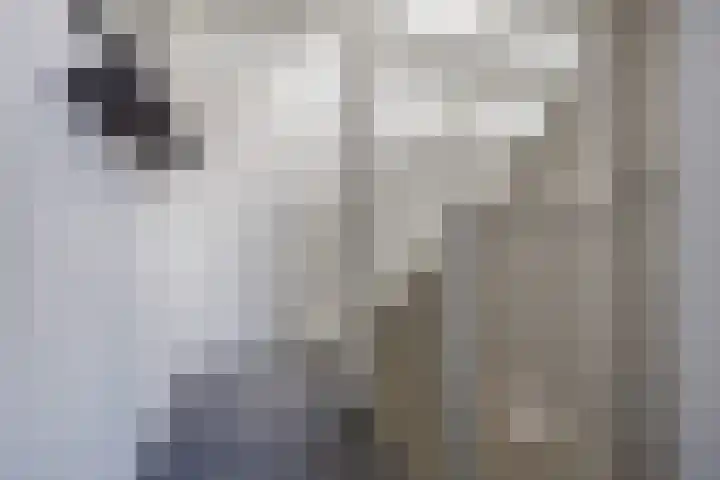 Vaartuigenlaan 4 Woerden thumbnail 41