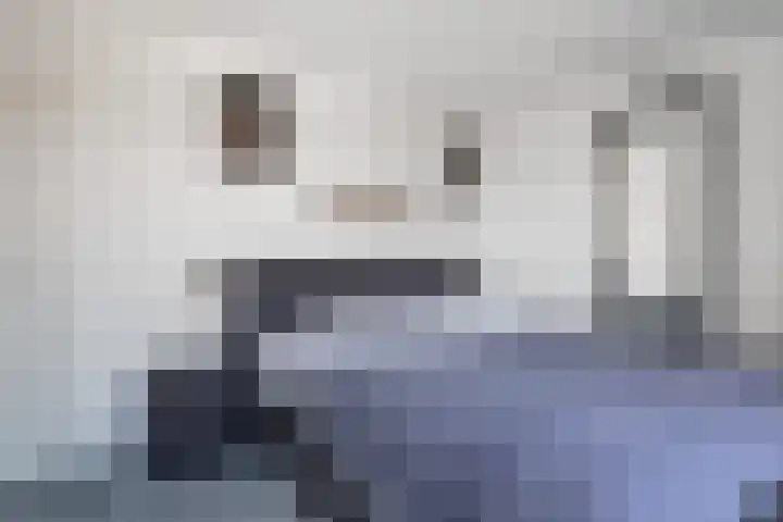 Vaartuigenlaan 4 Woerden thumbnail 45