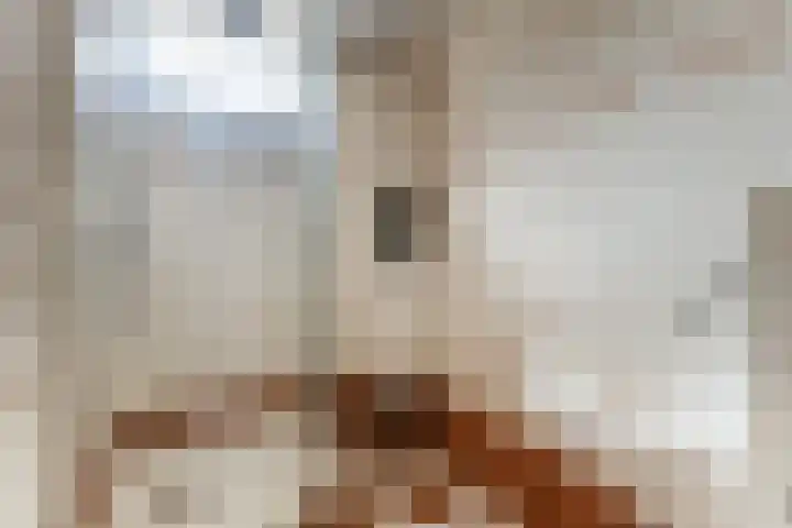 Vaartuigenlaan 4 Woerden thumbnail 48